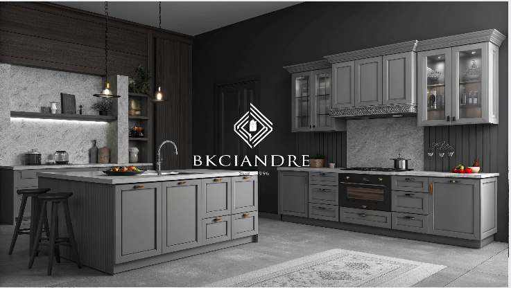 How BKCIANDRE Has Expanded Its Presence in Global Markets