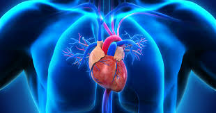 What’s New in Cardiology for Detecting Heart Disease Early
